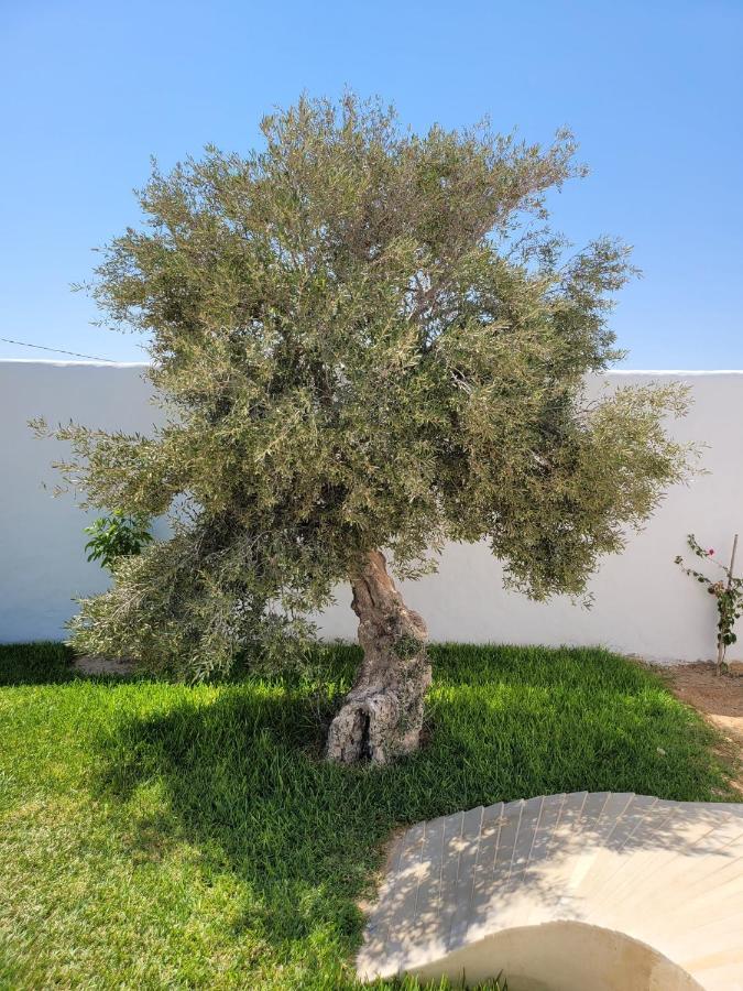 Villa La Palmeraie D'Arkou, Grande Piscine المظهر الخارجي الصورة