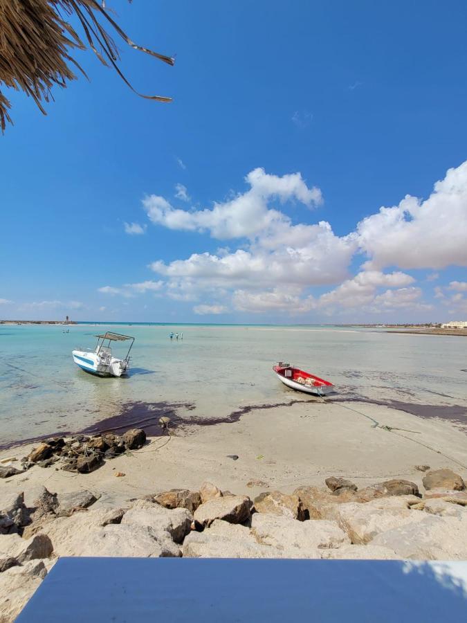 Villa La Palmeraie D'Arkou, Grande Piscine المظهر الخارجي الصورة