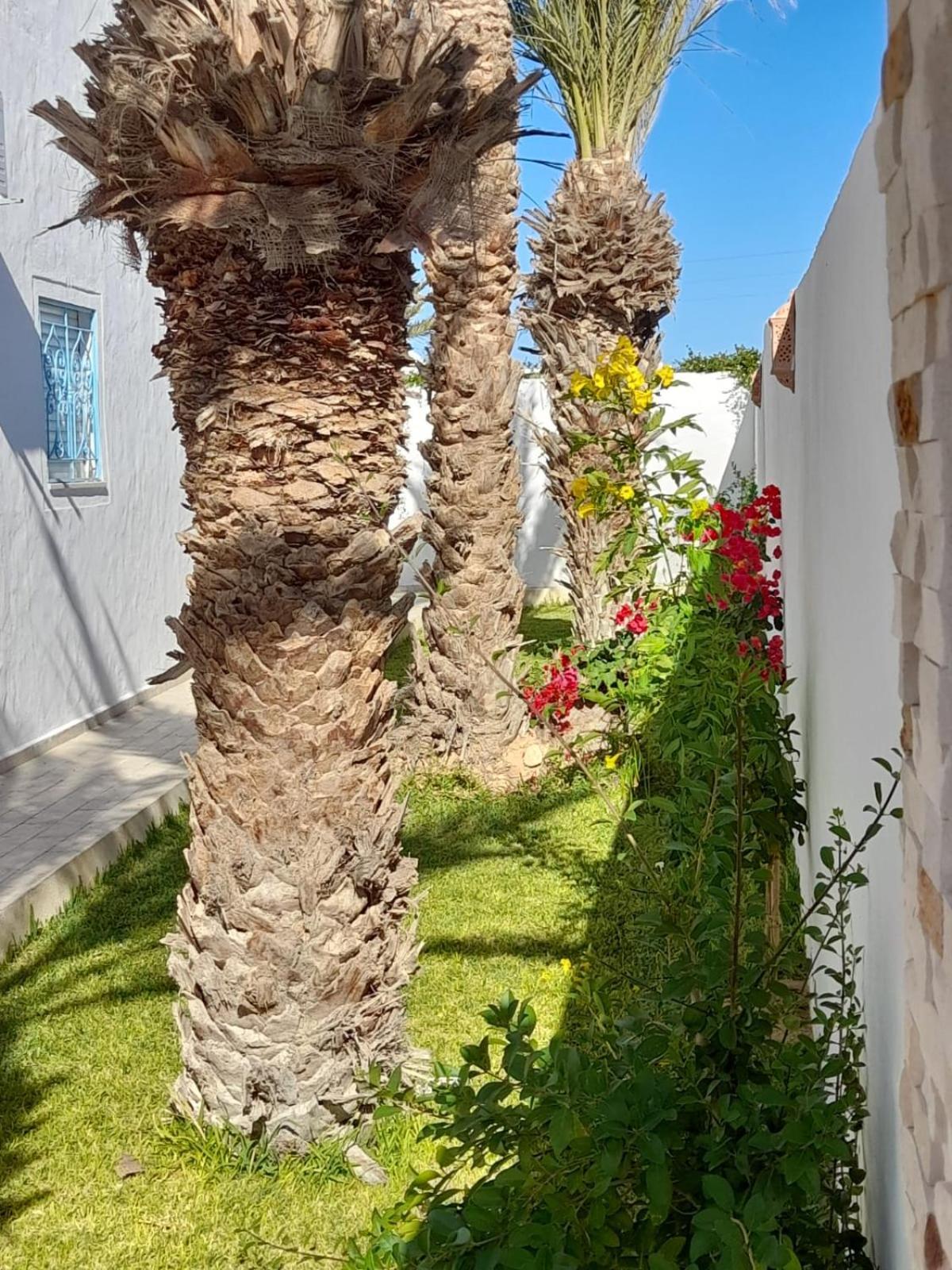 Villa La Palmeraie D'Arkou, Grande Piscine المظهر الخارجي الصورة